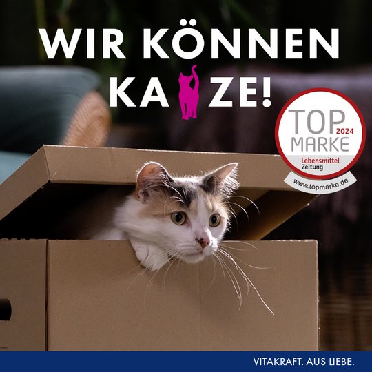 Katze schaut aus Karton, oben der Slogan "Wir können Katze" - Topmarke