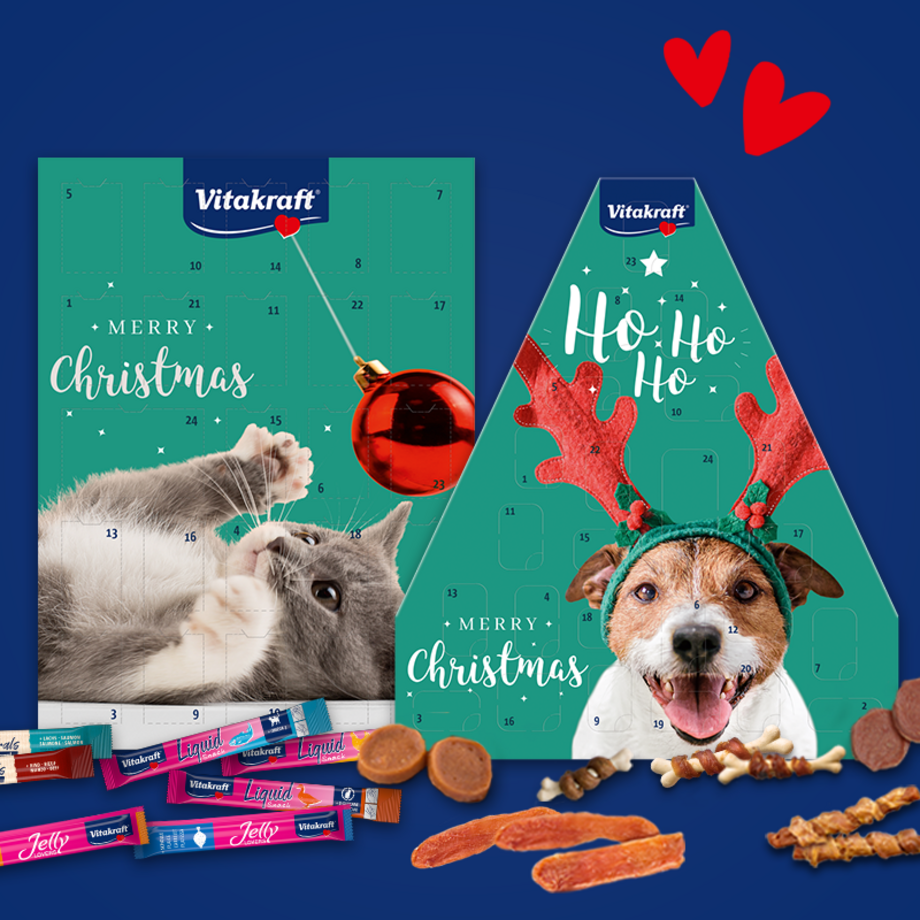 Banner Adventskalender für Hunde und Katzen