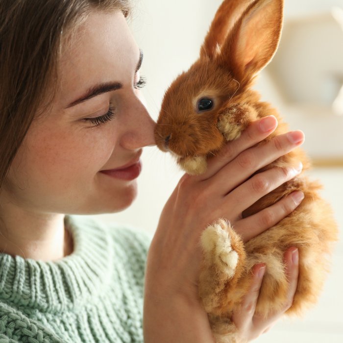 Frau hält Kaninchen in ihren Händen und liebkost es mit ihrer Nase