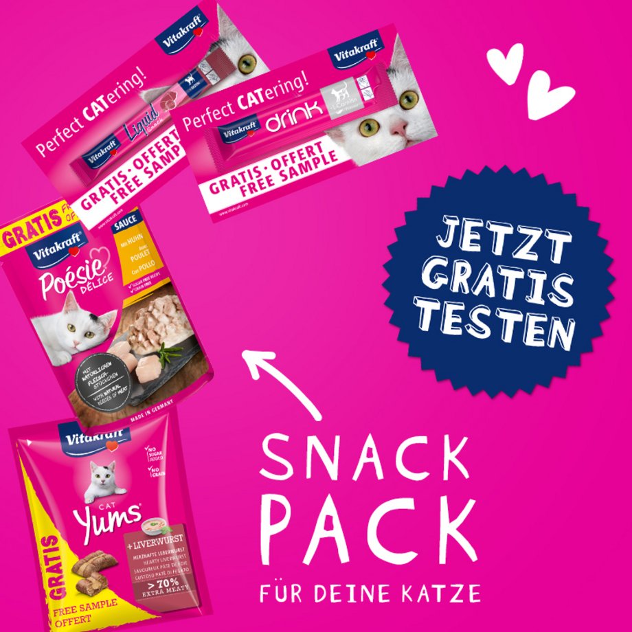 Katzensnackbox Digital Sampling